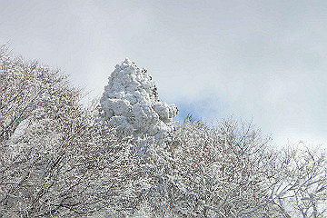 p2040383_thumb.jpg