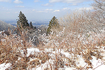 p2040385_thumb.jpg