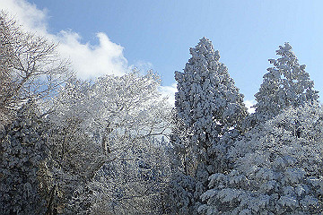 p2040396_thumb.jpg