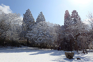 p2040398_thumb.jpg
