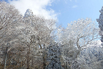 p2040402_thumb.jpg
