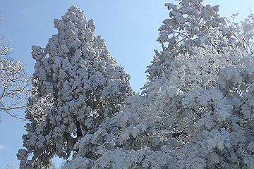 p2040404_thumb.jpg