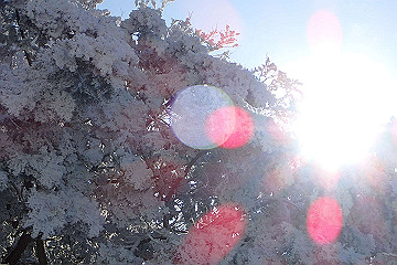p2040406_thumb.jpg