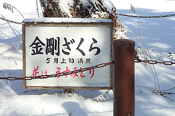 p2040415_thumb.jpg