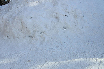 p2040422_thumb.jpg