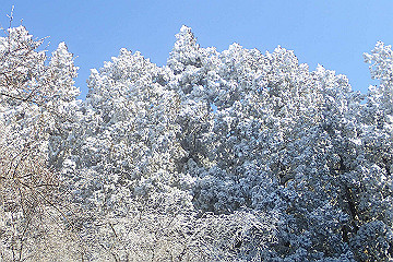 p2040427_thumb.jpg