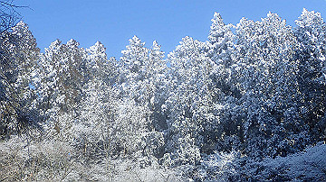 p2040435_thumb.jpg