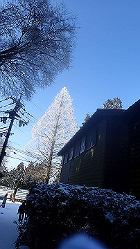 p2040438_thumb.jpg