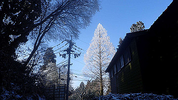 p2040439_thumb.jpg