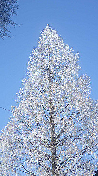 p2040440_thumb.jpg