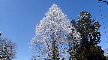 p2040441_thumb.jpg
