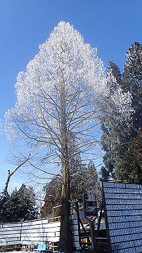 p2040442_thumb.jpg