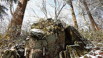 p2040456_thumb.jpg