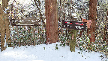 p2040457_thumb.jpg