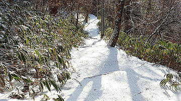 p2040461_thumb.jpg