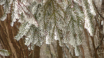 p2040469_thumb.jpg