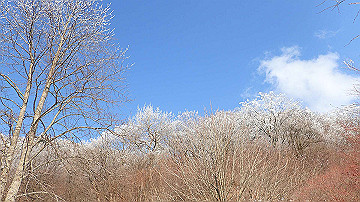 p2040473_thumb.jpg