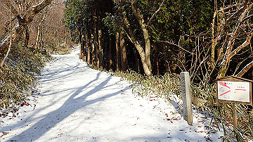 p2040476_thumb.jpg