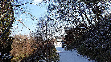p2040478_thumb.jpg