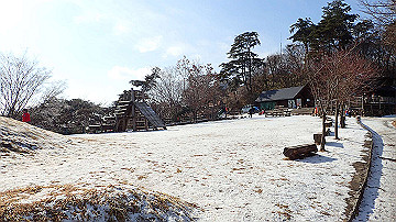 p2040484_thumb.jpg