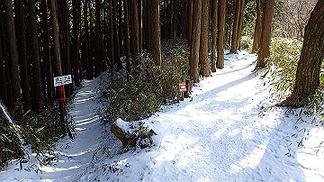 p2040496_thumb.jpg