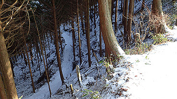 p2040498_thumb.jpg
