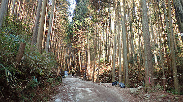 p2040510_thumb.jpg