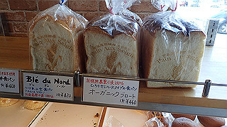 p2110010_thumb.jpg