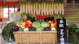 p2110023_thumb.jpg