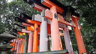 p2110028_thumb.jpg