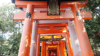 p2110029_thumb.jpg