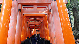 p2110031_thumb.jpg