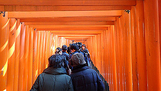 p2110034_thumb.jpg