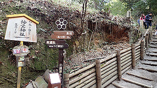 p2110042_thumb.jpg