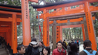 p2110044_thumb.jpg