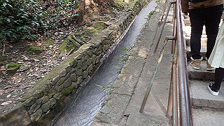 p2110049_thumb.jpg