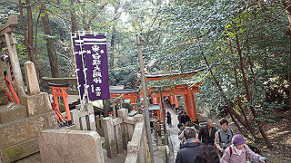 p2110050_thumb.jpg