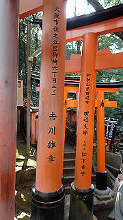 p2110052_thumb.jpg