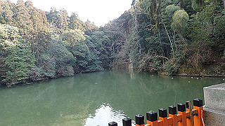 p2110053_thumb.jpg
