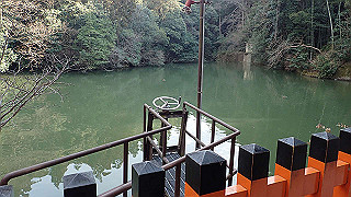 p2110055_thumb.jpg