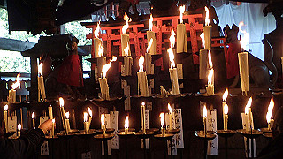 p2110057_thumb.jpg