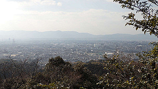 p2110065_thumb.jpg