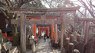 p2110074_thumb.jpg