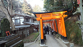 p2110086_thumb.jpg