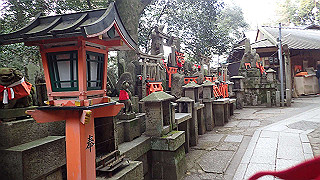 p2110090_thumb.jpg
