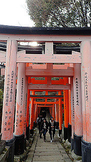 p2110097_thumb.jpg