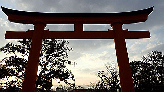 p2110108_thumb.jpg