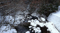 p2140150_thumb.jpg