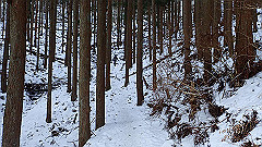 p2140153_thumb.jpg