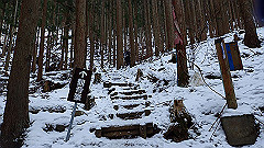 p2140155_thumb.jpg